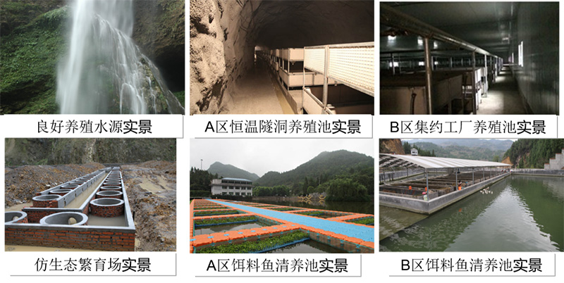 15427849471599.jpg 圖片1.jpg