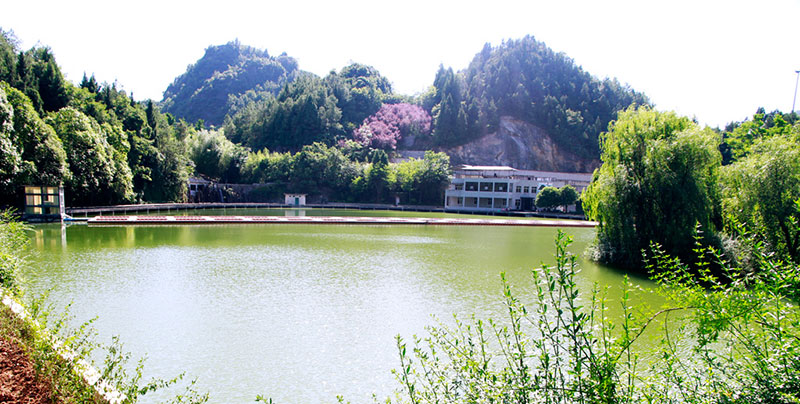 15427850644123.jpg 圖片3.jpg